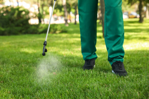 Professional Pest Control in Catalina, AZ